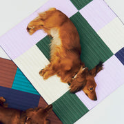 HAY Cestovní deka pro psy, Levander / Green / Blue - DESIGNSPOT