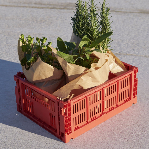 HAY Úložný box Colour Crate, Small, Powder - DESIGNSPOT