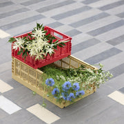 HAY Úložný box Colour Crate, Small, Powder - DESIGNSPOT