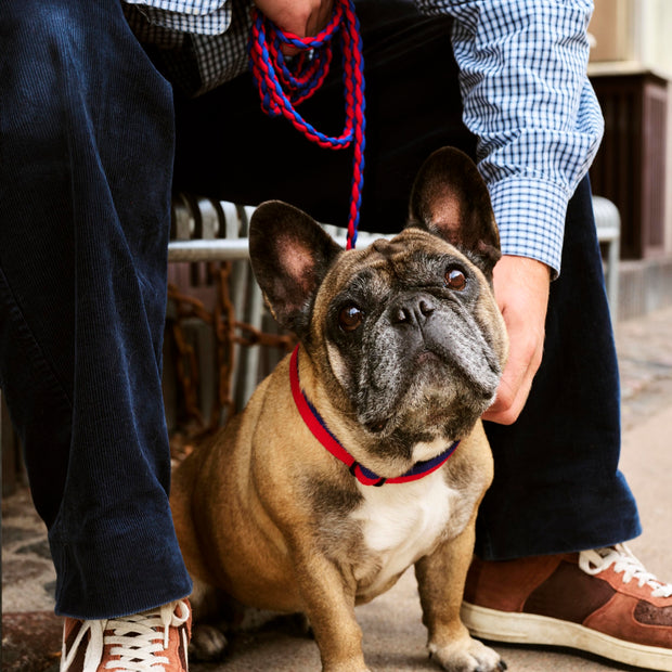 HAY Obojek Flat, Red / Blue - DESIGNSPOT