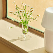 HAY Váza Tiny, Clear - DESIGNSPOT