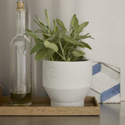 Skagerak Dřevěný úložný box Nomad Tray - DESIGNSPOT