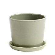 Hay Květináč Botanical Family M, Dusty Green - DESIGNSPOT