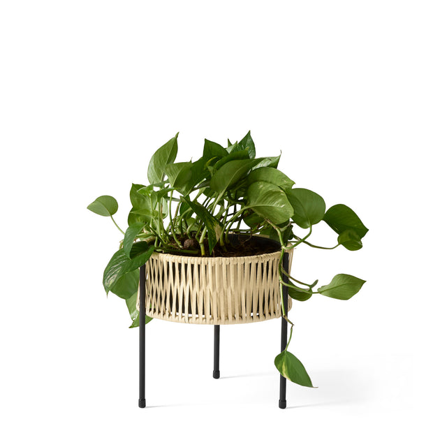 Audo Copenhagen Květináč Umanoff, 27 - DESIGNSPOT