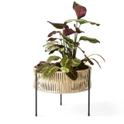 Audo Copenhagen Květináč Umanoff, 32 - DESIGNSPOT