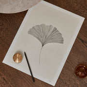 The Poster Club Plakát Ginkgo Leaf, Ana Frois - DESIGNSPOT