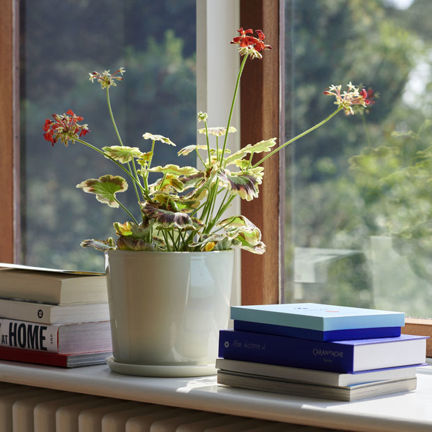 Hay Květináč Botanical Family M, Dusty Green - DESIGNSPOT