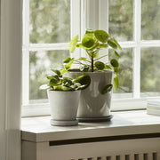 Hay Květináč Botanical Family M, Dusty Green - DESIGNSPOT