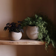 Audo Copenhagen Květináč Plantas 32 - DESIGNSPOT
