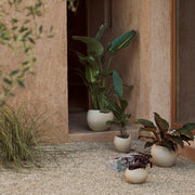 Audo Copenhagen Květináč Plantas 24 - DESIGNSPOT