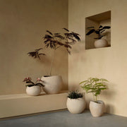 Audo Copenhagen Květináč Plantas 24 - DESIGNSPOT